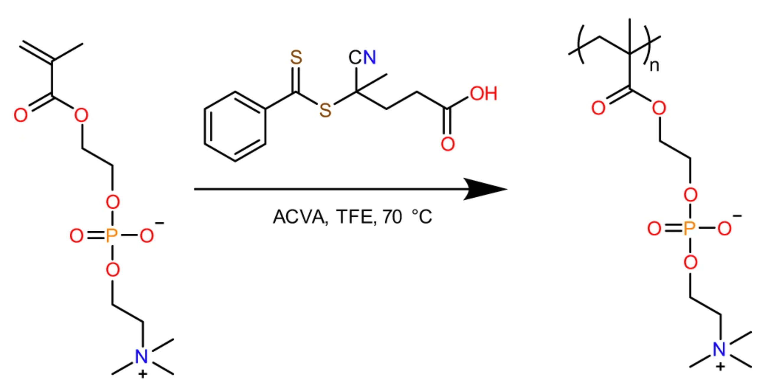 Structure of pMPC-pAA